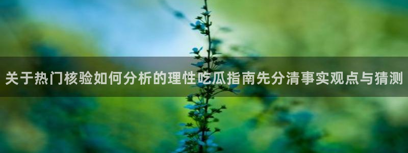 热门热点爆料