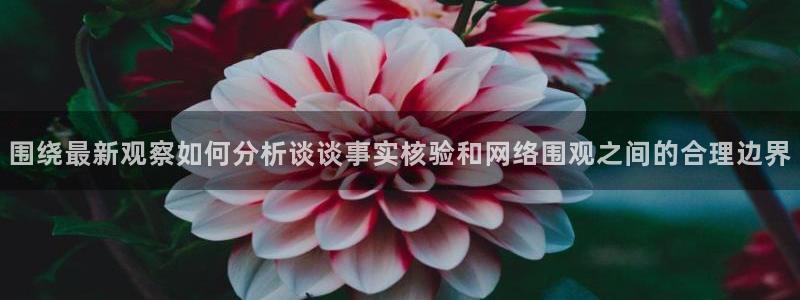 热门事件大全:围绕最新观察如何分析谈谈事实核验和网络围观之间的合理边界