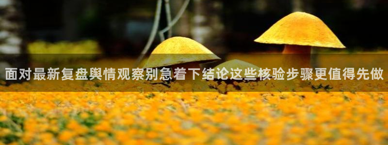 黑料爆料话题大全:面对最新复盘舆情观察别急着下结论这些核验步骤更值得先做