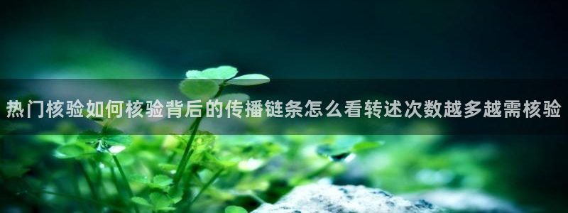 黑料今日热点:热门核验如何核验背后的传播链条怎么看转述次数越多越需核验