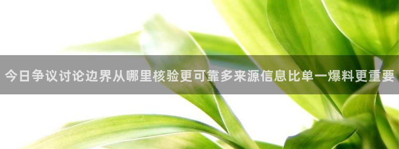 黑料爆料资讯入口：今日争议讨论边界从哪里核验更可靠多来源信息比单一爆料更重要