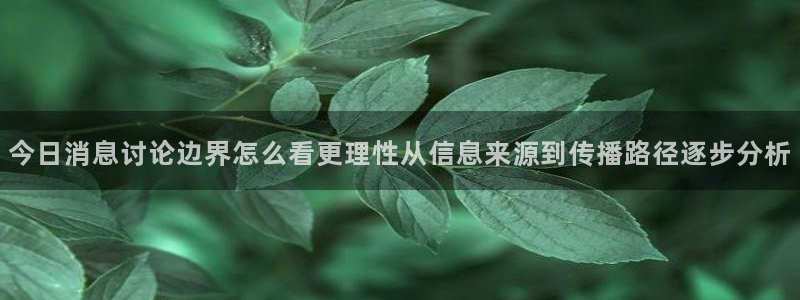 黑料网络热点:今日消息讨论边界怎么看更理性从信息来源到传播路径逐步分析