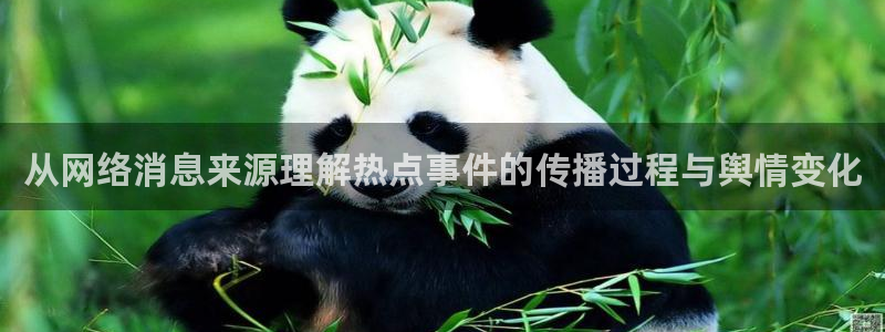 网络黑料热点:从网络消息来源理解热点事件的传播过程与舆情变化