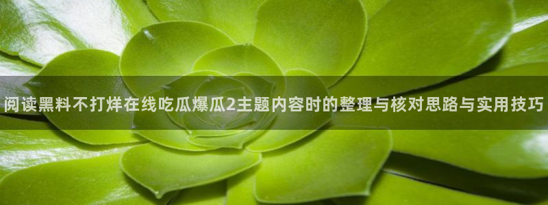 每日热点榜：阅读黑料不打烊在线吃瓜爆瓜2主题内容时的整理与核对思路与实用技巧