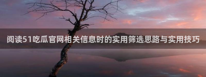 黑料爆料入口导航：阅读51吃瓜官网相关信息时的实用筛选思路与实用技巧