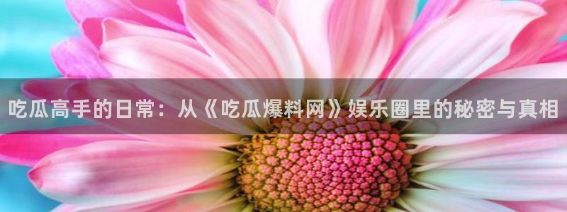 黑料爆料网站导航:吃瓜高手的日常:从《吃瓜爆料网》娱乐圈里的秘密与真相