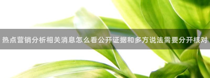 黑料爆料入口:热点营销分析相关消息怎么看公开证据和多方说法需要分开核对