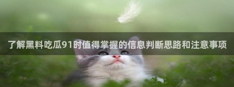 事件爆料动态:了解黑料吃瓜91时值得掌握的信息判断思路和注意事项